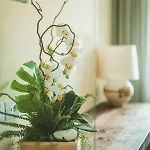 Little House Bed & Breakfast Campo San Martino