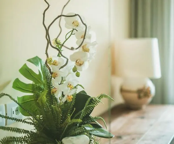 Little House فندق مبيت وإفطار Campo San Martino